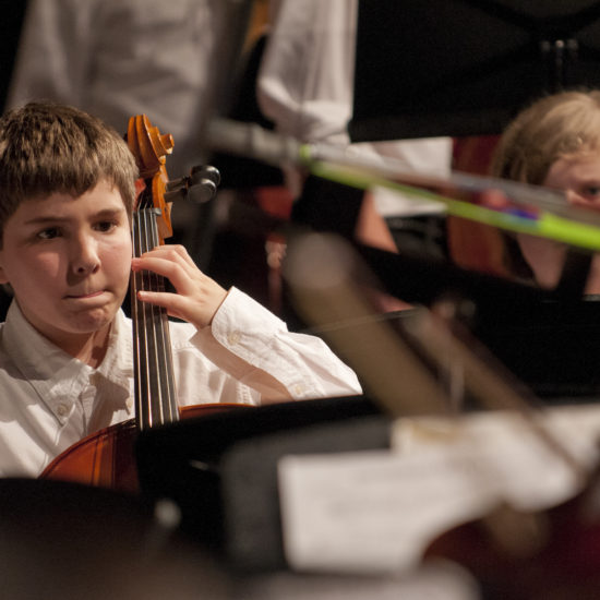 CCSA_STRINGS 2011_193